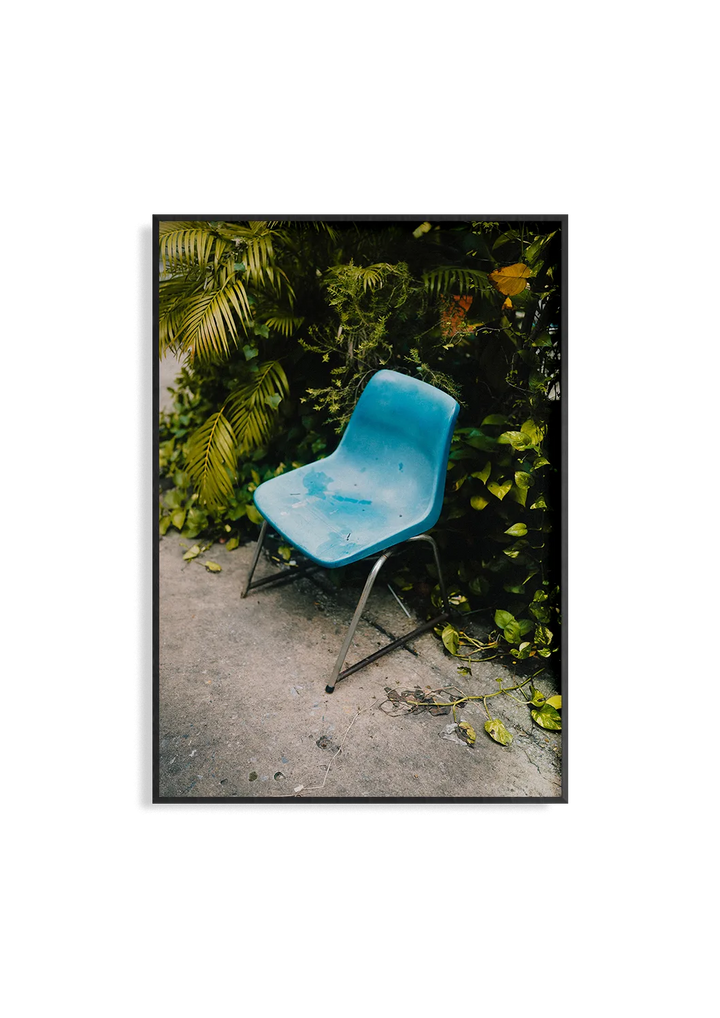 Hidden Path – Fotografie Kunstdruck von Alexander Zahn, Palmenpfad Stuhl