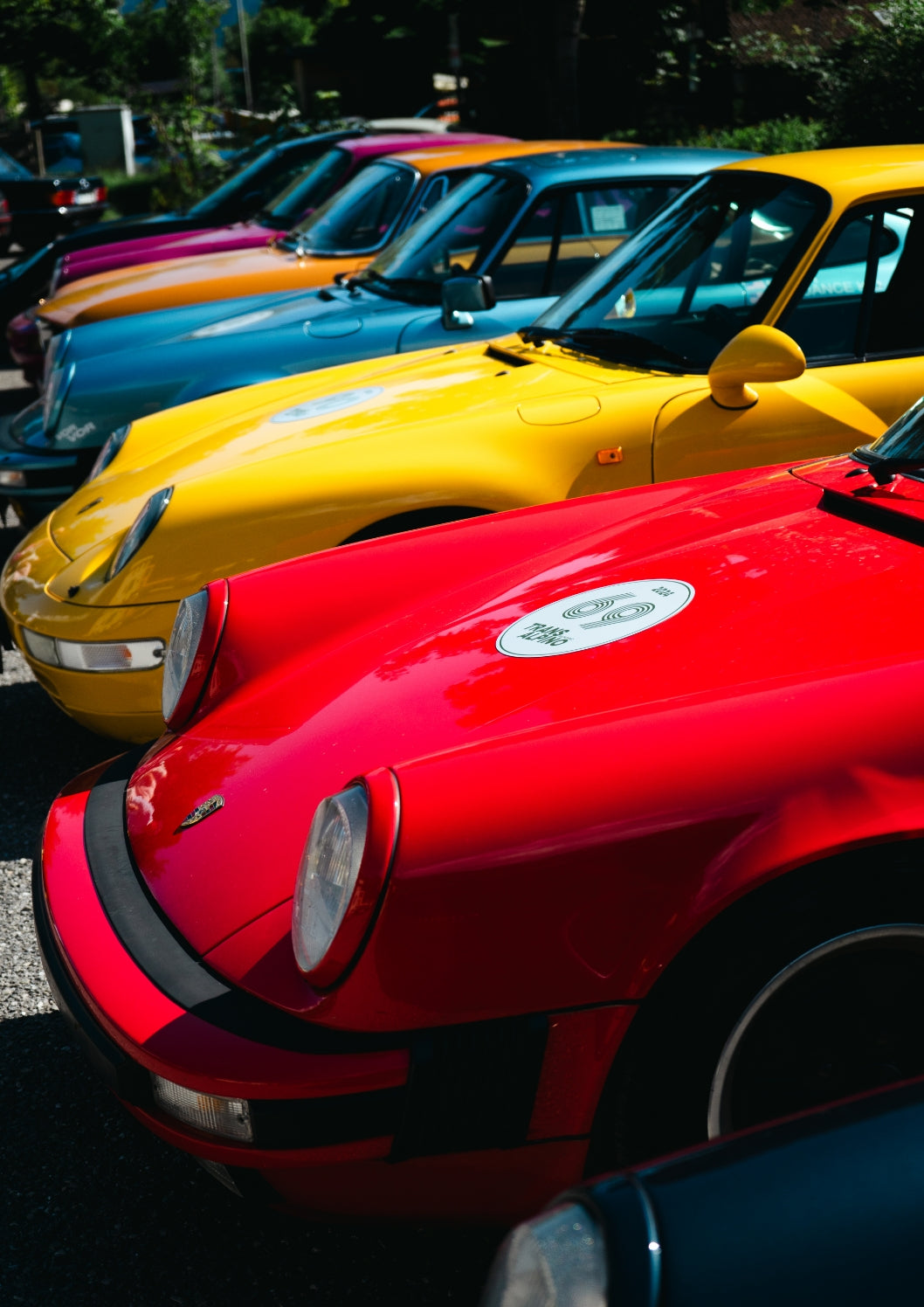 colori vivaci