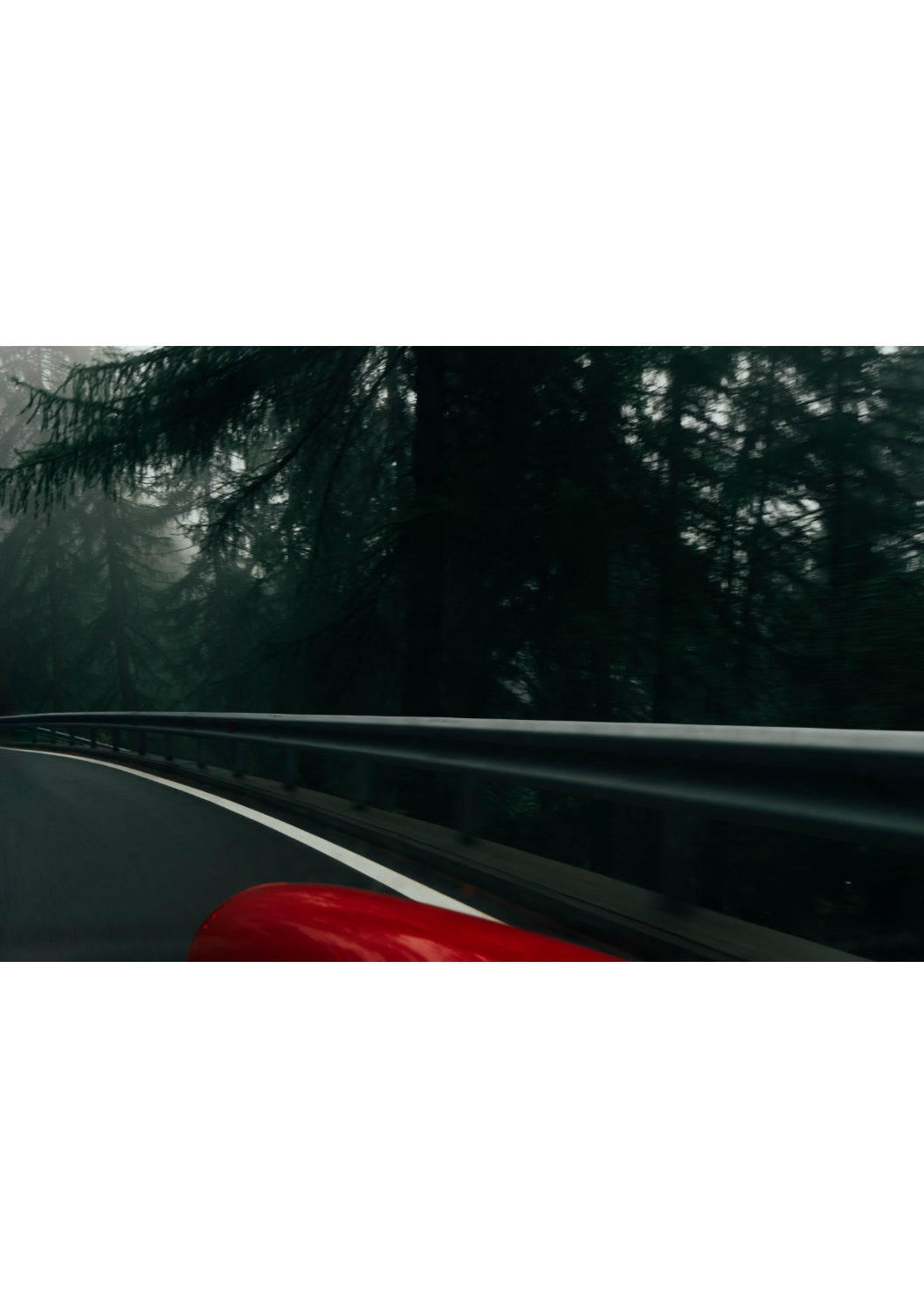 rosso nel bosco