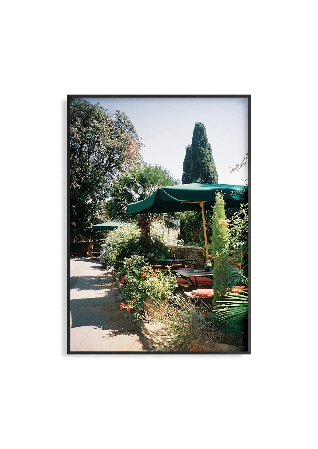 Toscana Fiore | Fine Art Print