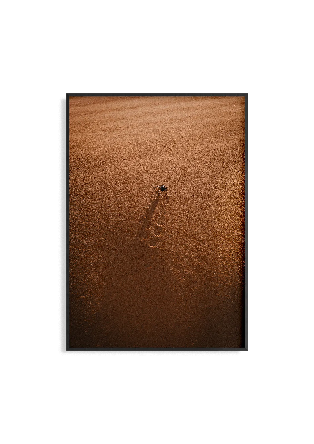 Untouched – Fotografie Kunstdruck von Alexander Zahn, unberührte Wüste