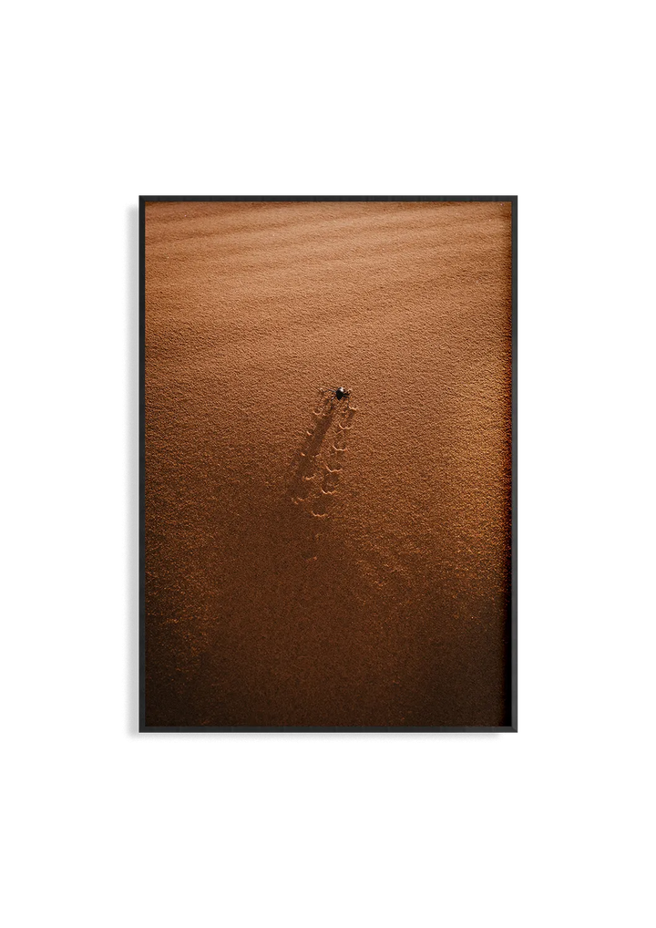 Untouched – Fotografie Kunstdruck von Alexander Zahn, unberührte Wüste