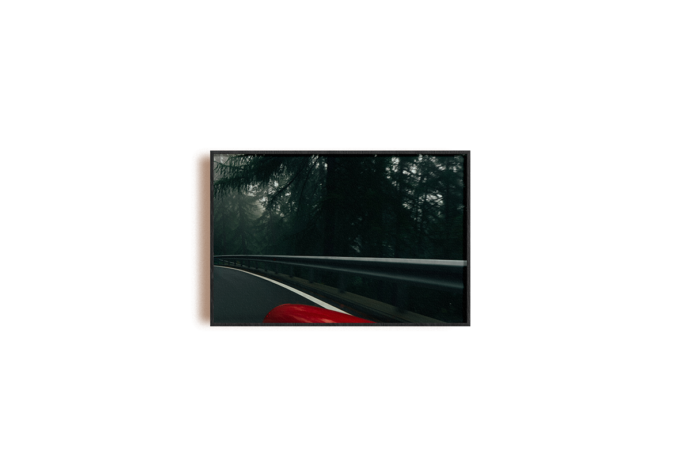 rosso nel bosco