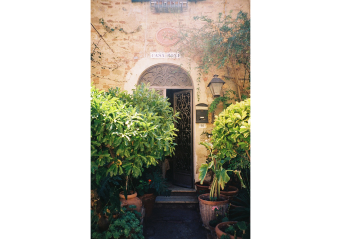Bolgheri - 70x100cm